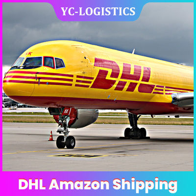 Trasporto di FBA HN PO DHL Amazon ad Europa Canada Australia