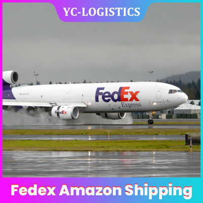 Fedex di porta in porta Amazon CZ CX dall'agente delle merci aviotrasportate di DDU