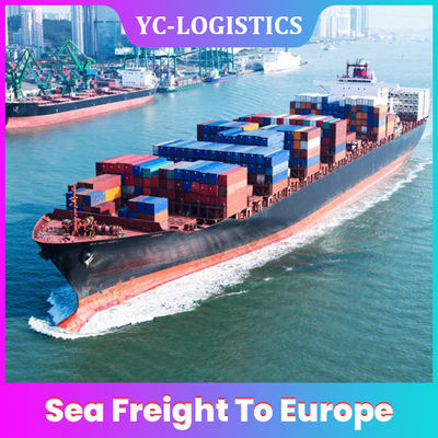 6 - 7 trasporti via mare internazionali di giorni DDP DDU ad Europa dalla Cina