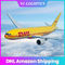 Trasporto dell'aria di consegna LCL DHL di giorno, servizio internazionale di porta in porta di DDP DHL