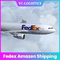Trasporto Profesional di Fedex Amazon ed aria con esperienza nel Marocco Ddp di porta in porta