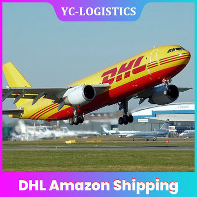 Trasporto di FCL LCL DHL Amazon, trasporto di DDU DHL dalla Cina ad U.S.A.