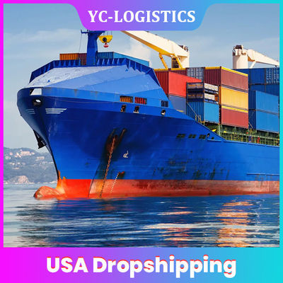 25 - 30 fornitori del drop shipping di giorni DDP TK Stati Uniti
